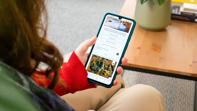 Mulher sentada num sofá segurando o celular e navegando numa página